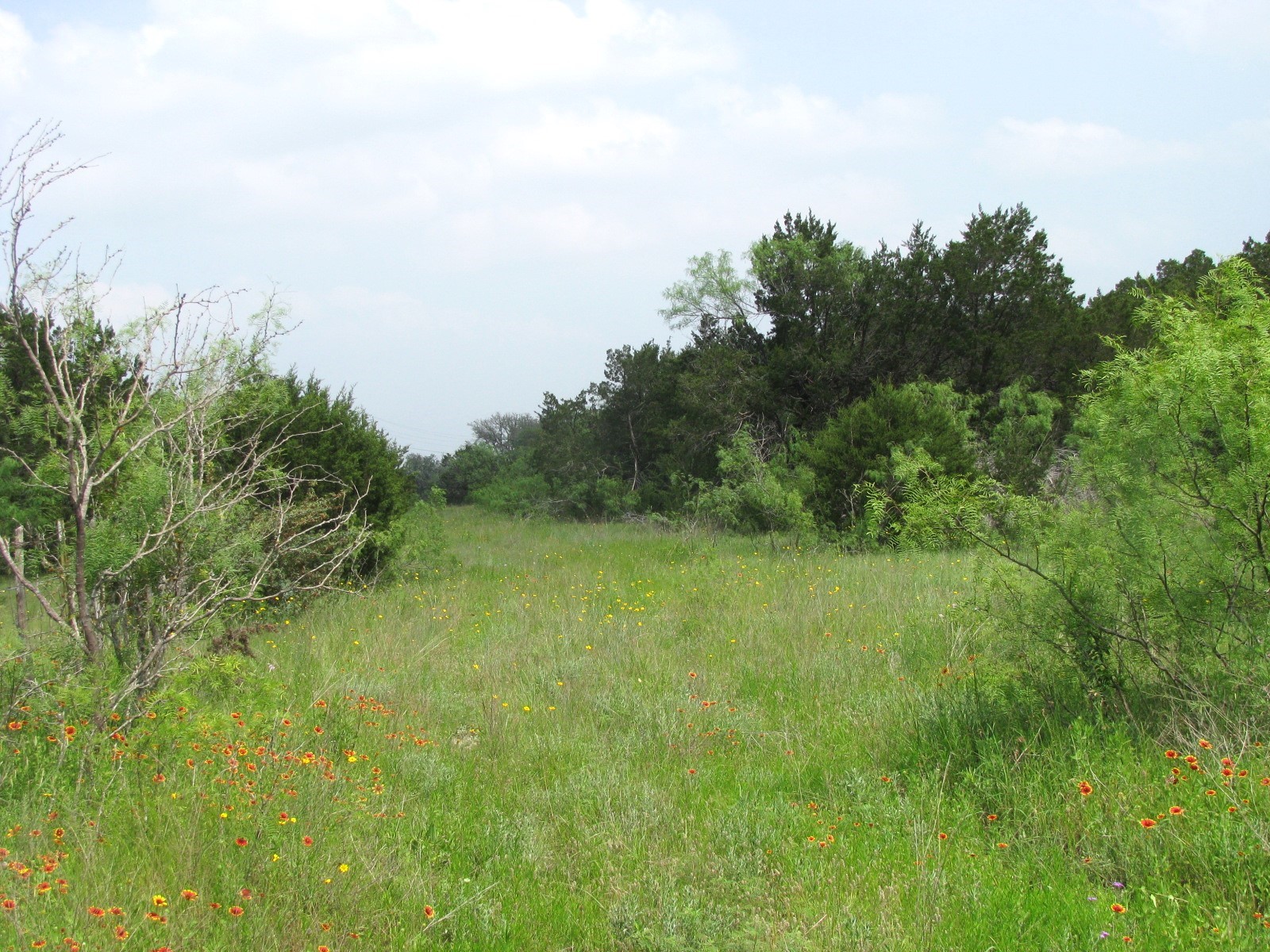 Lot 44 Phase 6 Pr 42107 Evant TX 76525
