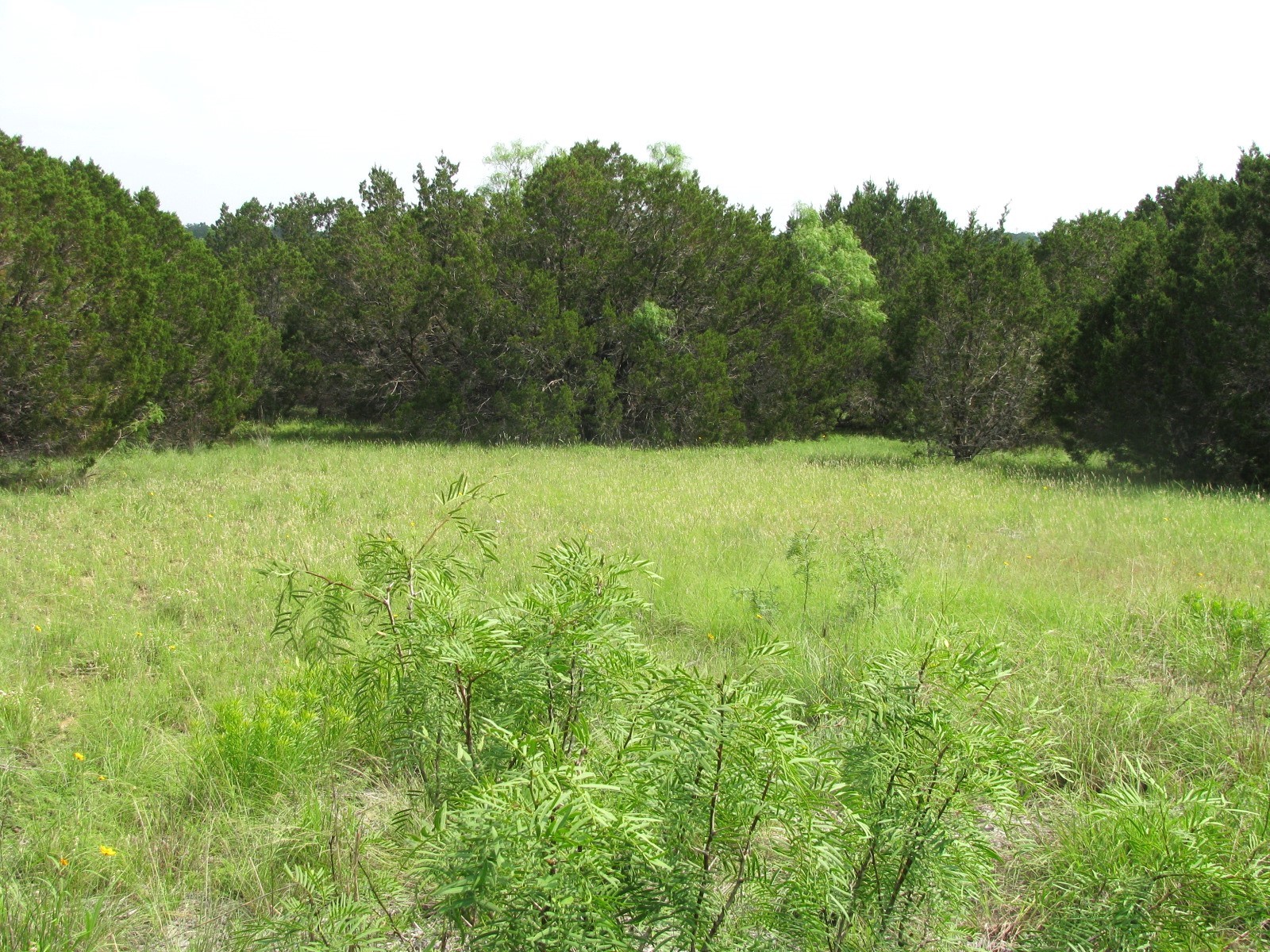 Lot 44 Phase 6 Pr 42107 Evant TX 76525