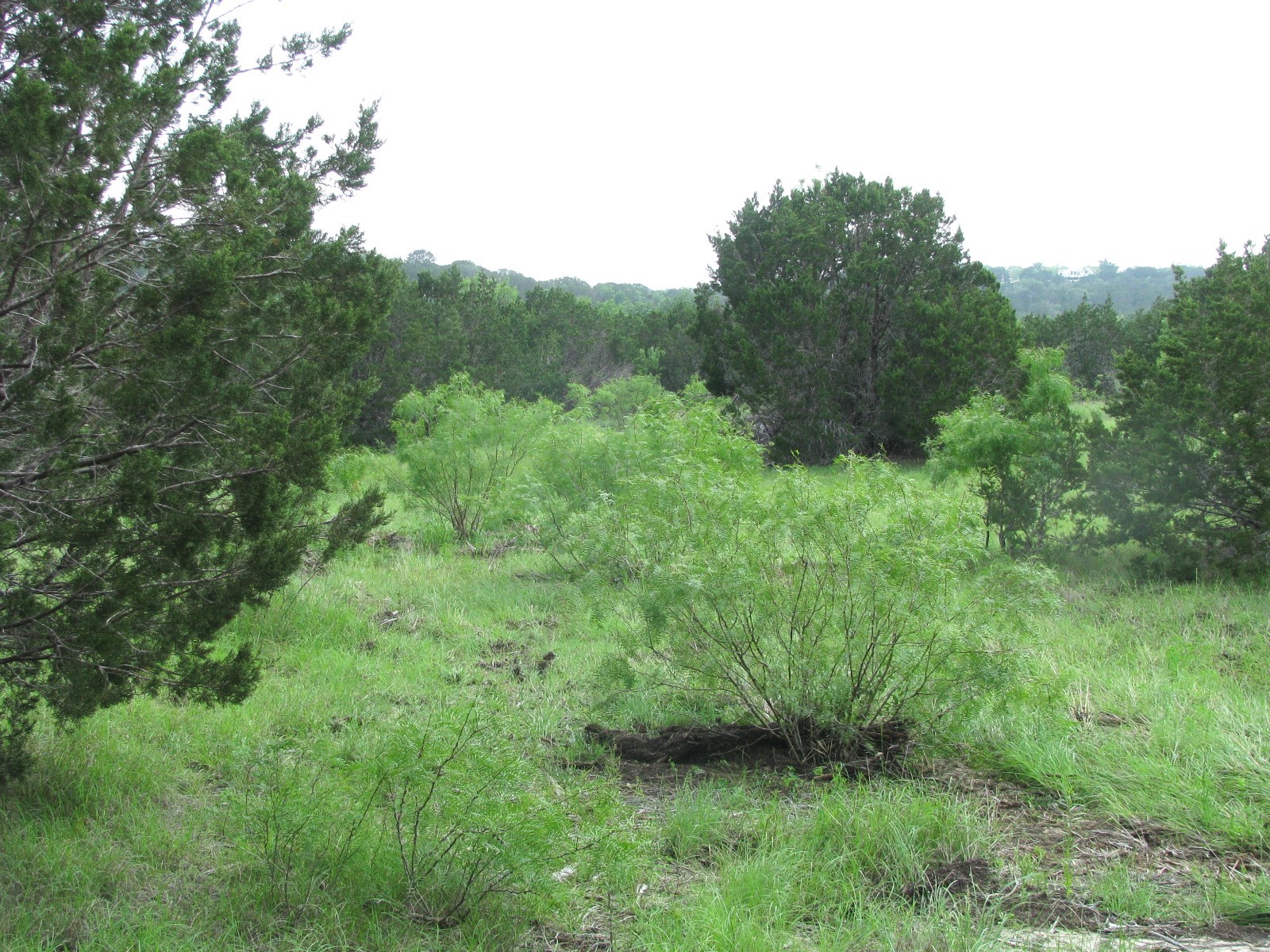 Lot 44 Phase 6 Pr 42107 Evant TX 76525