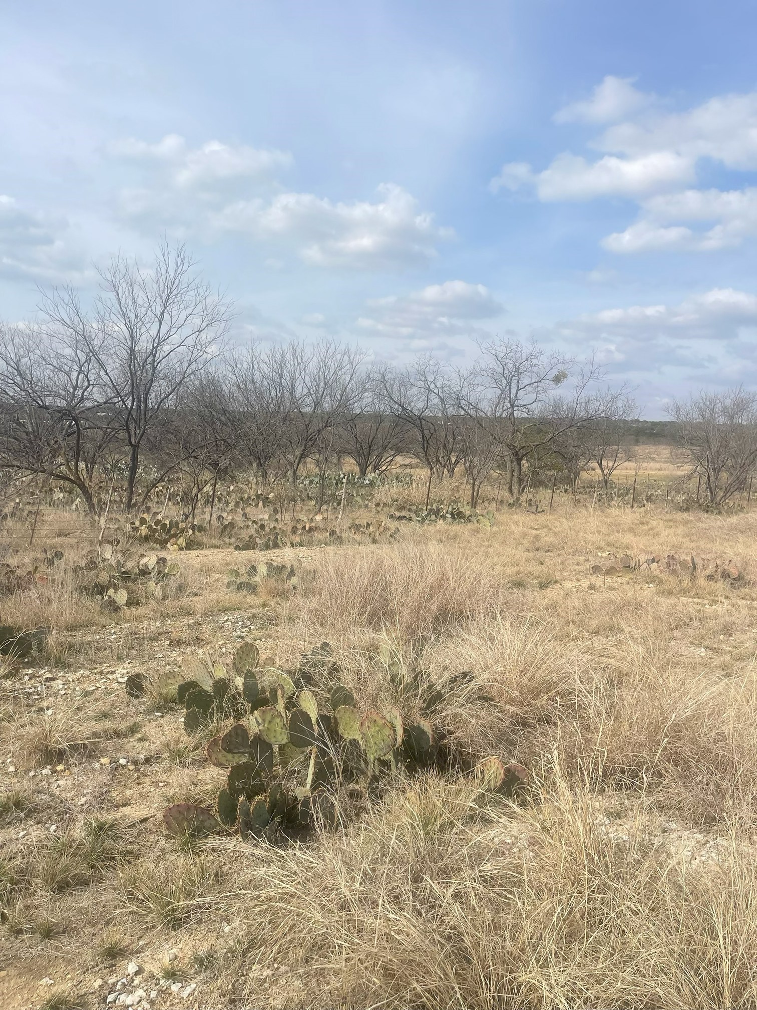 Tbd County Road 221 Brookesmith TX 76827