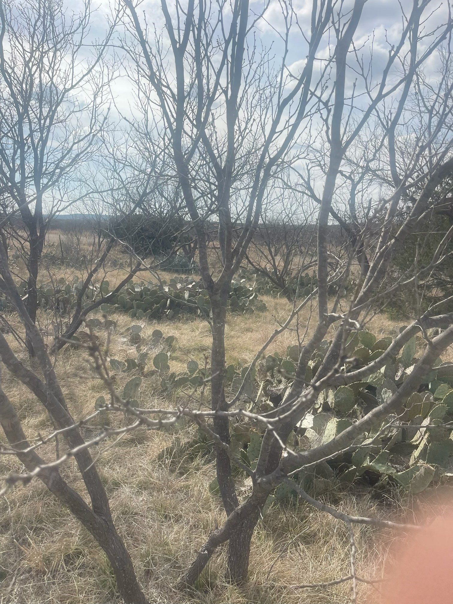 Tbd County Road 221 Brookesmith TX 76827