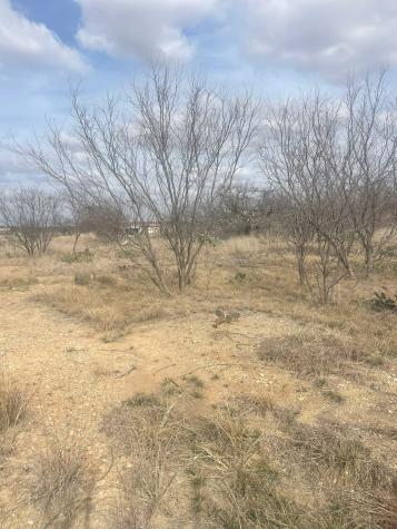 Tbd County Road 221 Brookesmith TX 76827