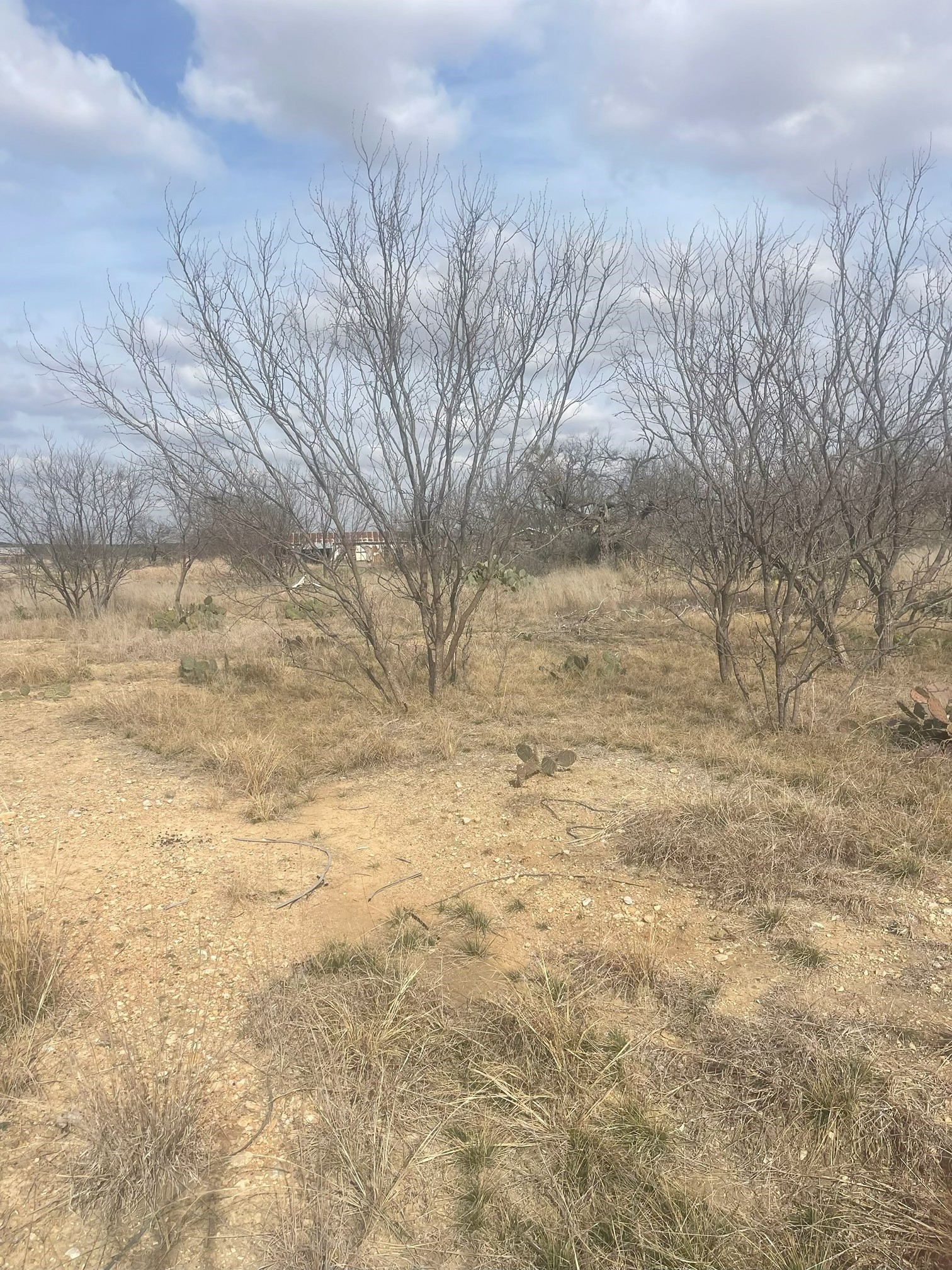 Tbd County Road 221 Brookesmith TX 76827