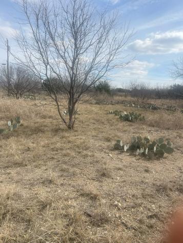 Tbd County Road 221 Brookesmith TX 76827