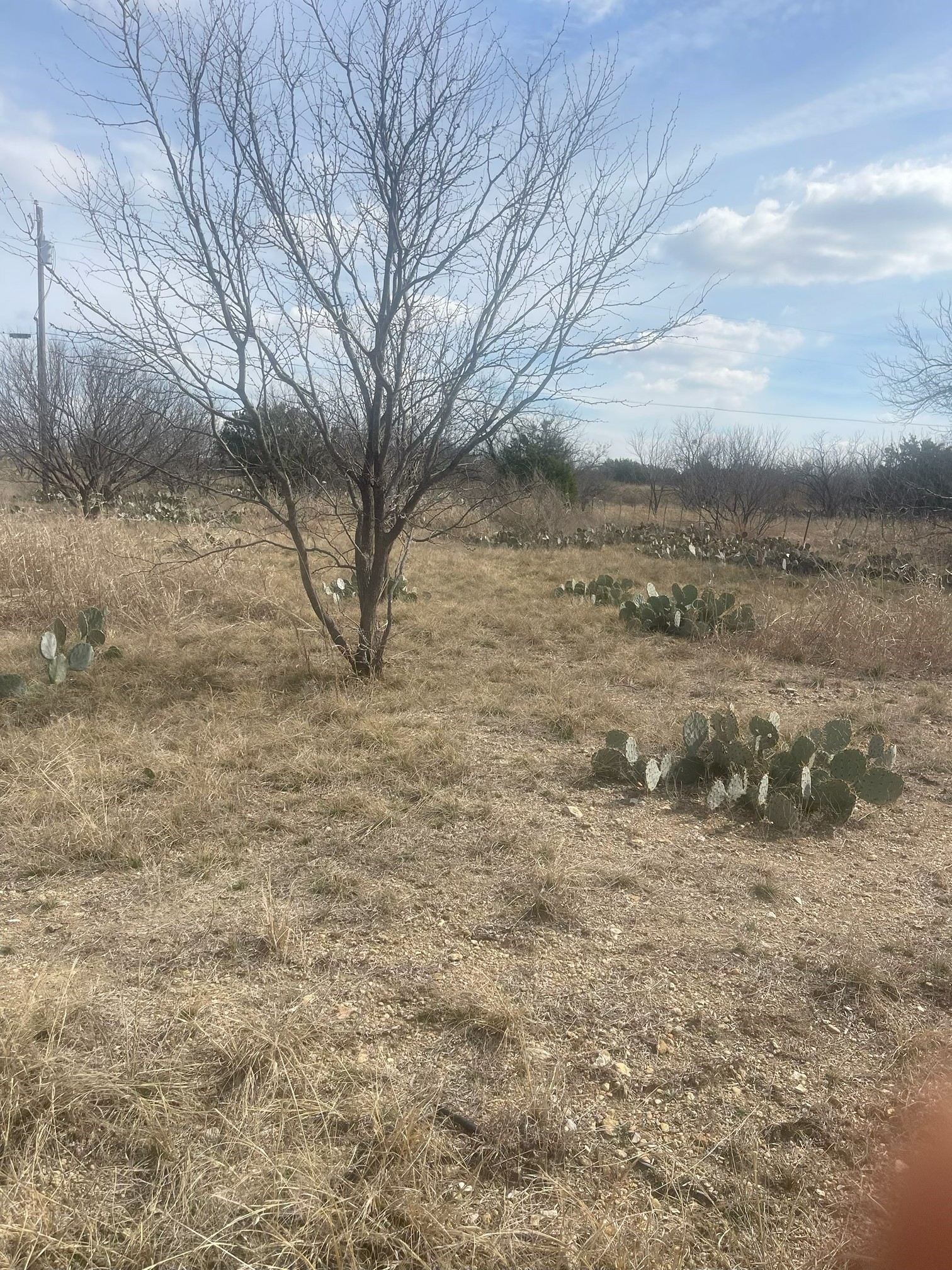 Tbd County Road 221 Brookesmith TX 76827