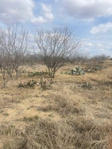 TBD County Road 221 Brookesmith TX 76827