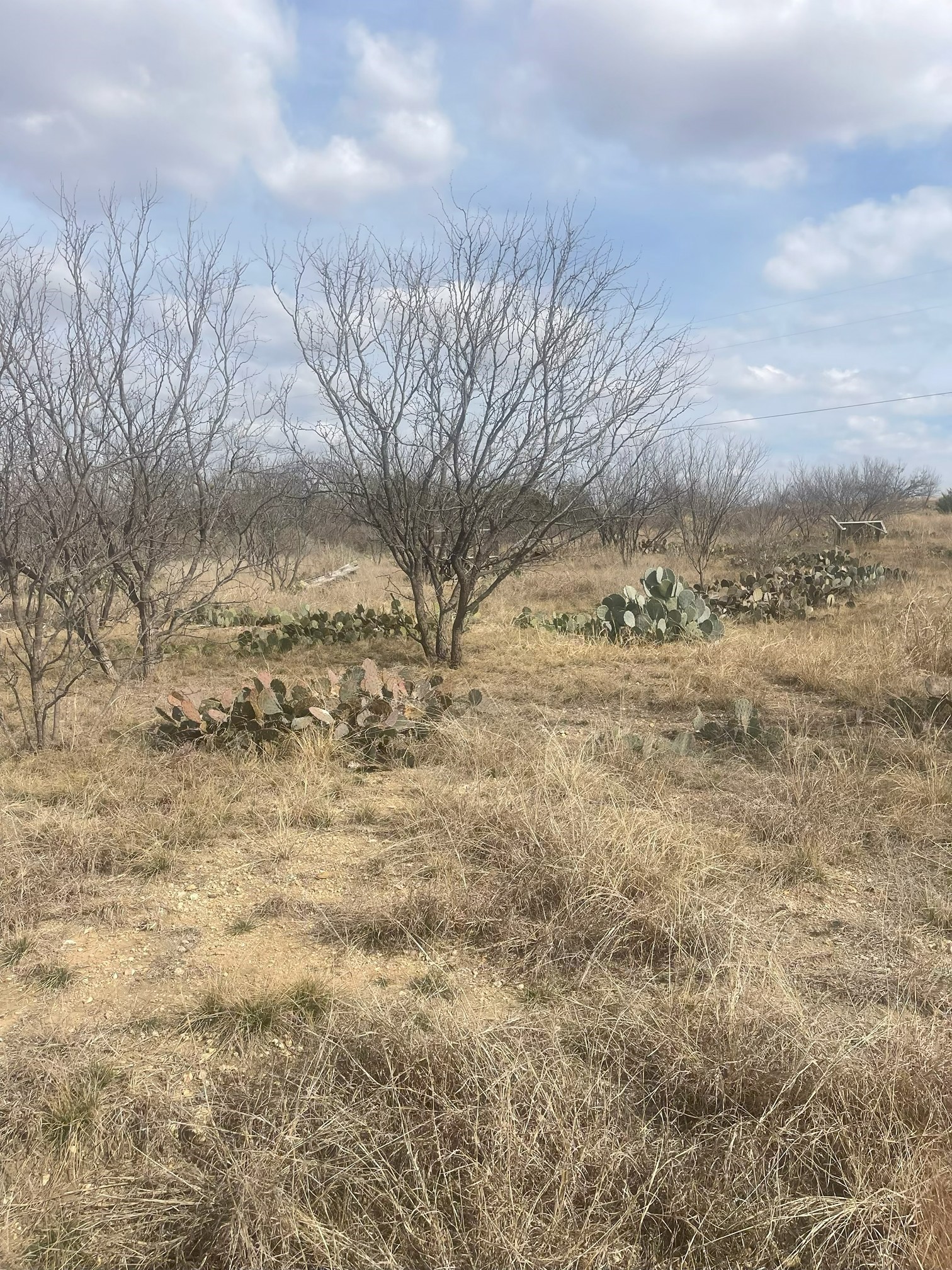 Tbd County Road 221 Brookesmith TX 76827