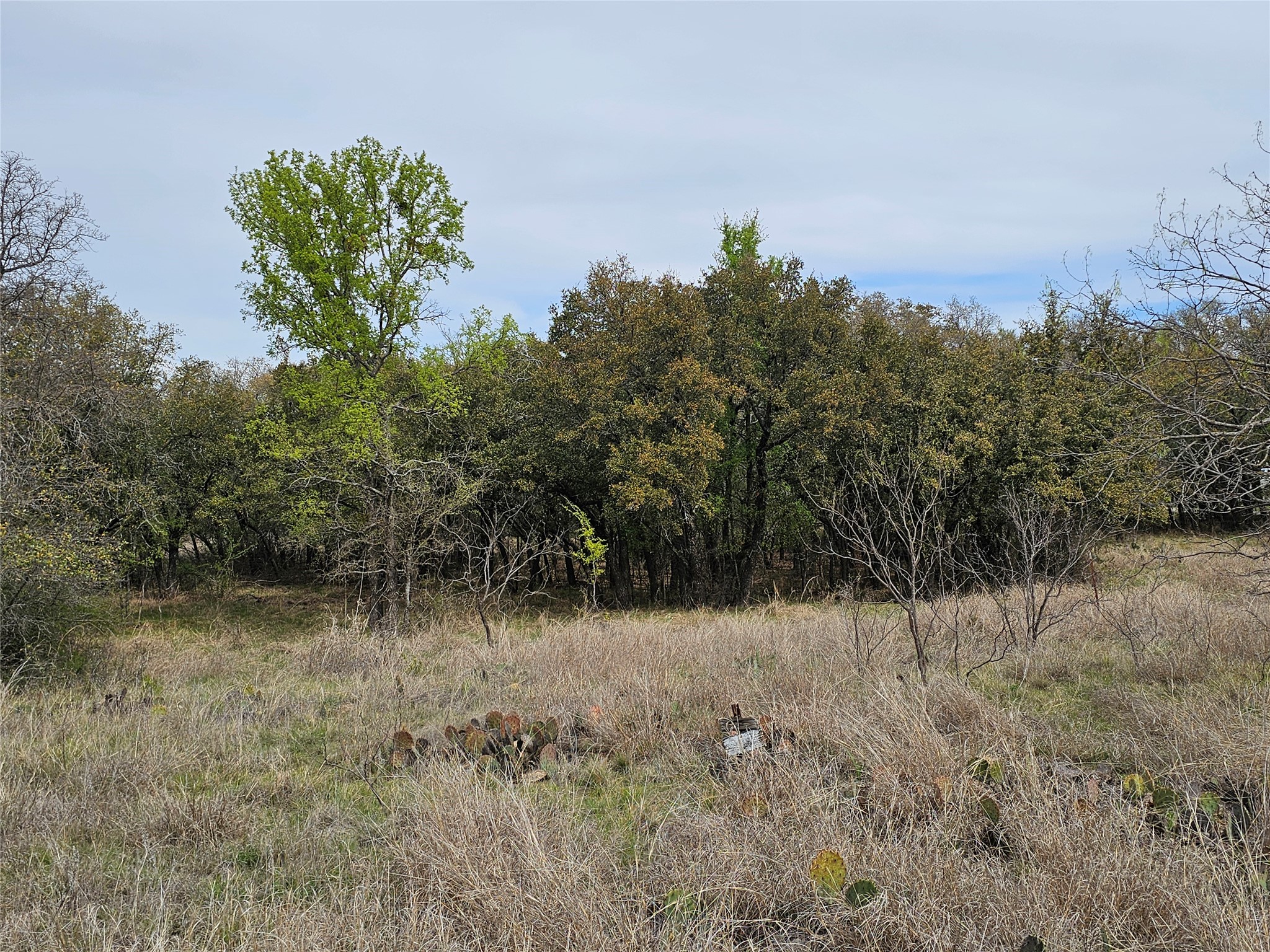 Y-3 Feather Bay Boulevard Brownwood TX 76801