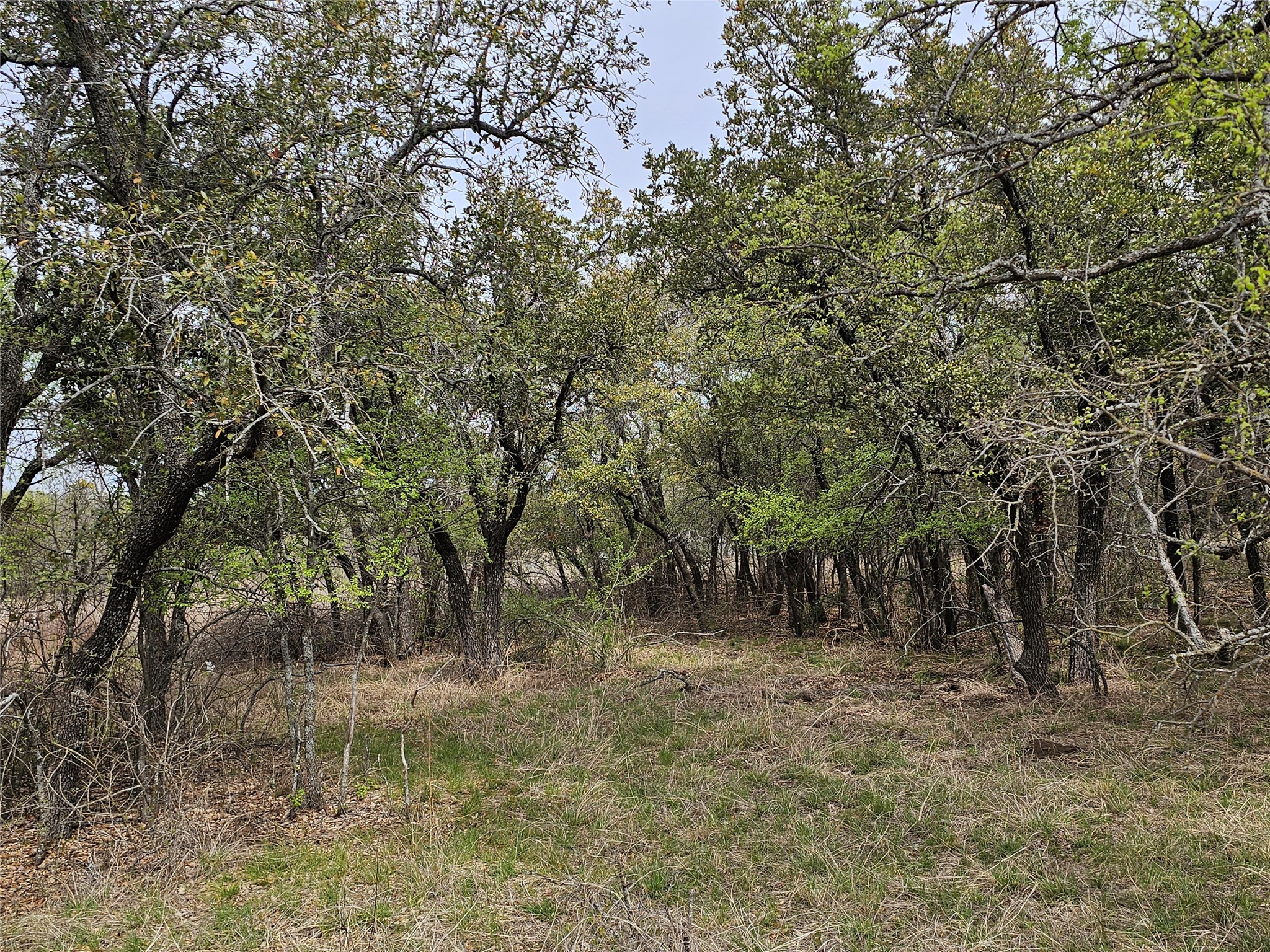 Y-3 Feather Bay Boulevard Brownwood TX 76801