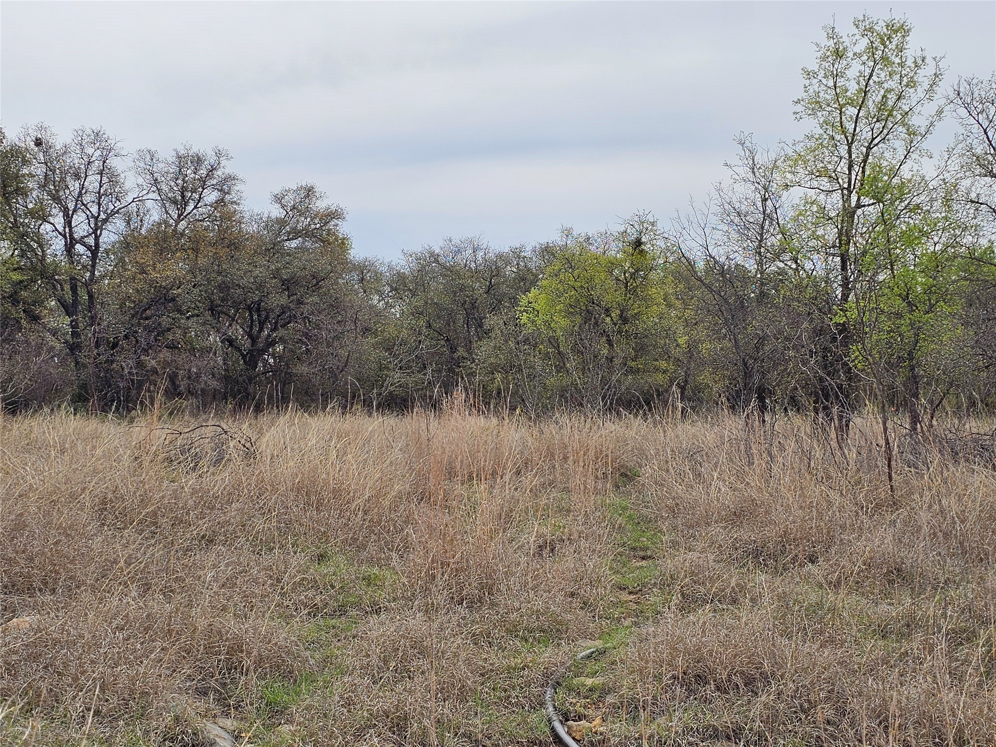 Y-3 Feather Bay Boulevard Brownwood TX 76801