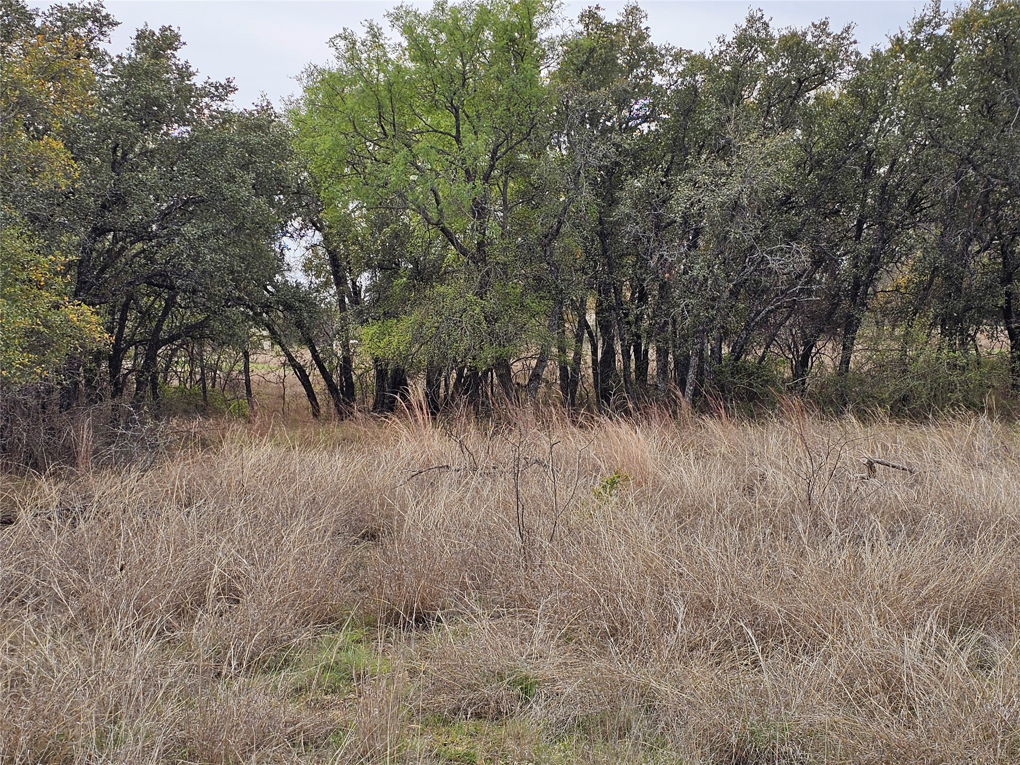 Y-3 Feather Bay Boulevard Brownwood TX 76801