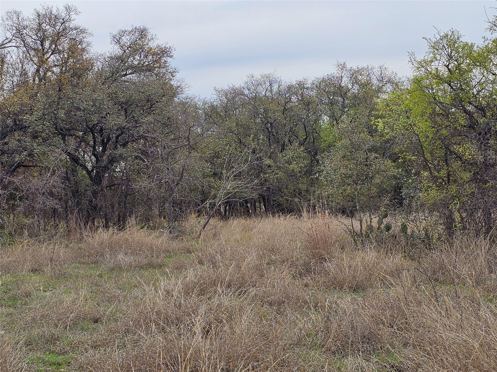 Y-3 Feather Bay Boulevard Brownwood TX 76801