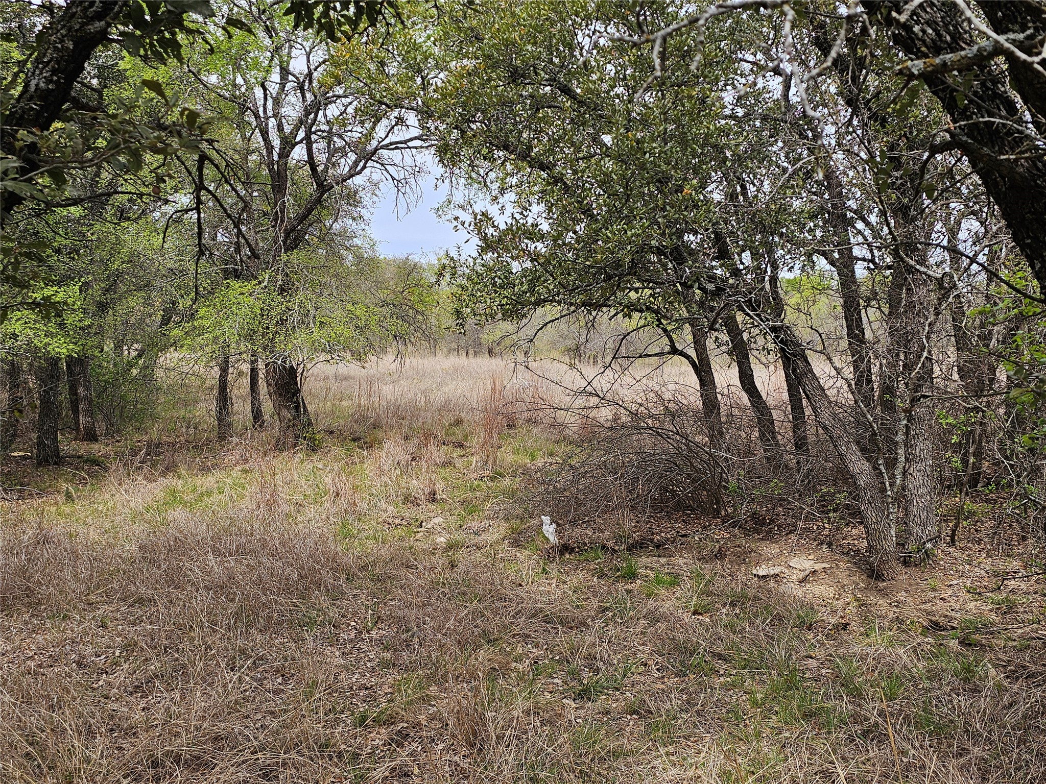 Y-3 Feather Bay Boulevard Brownwood TX 76801
