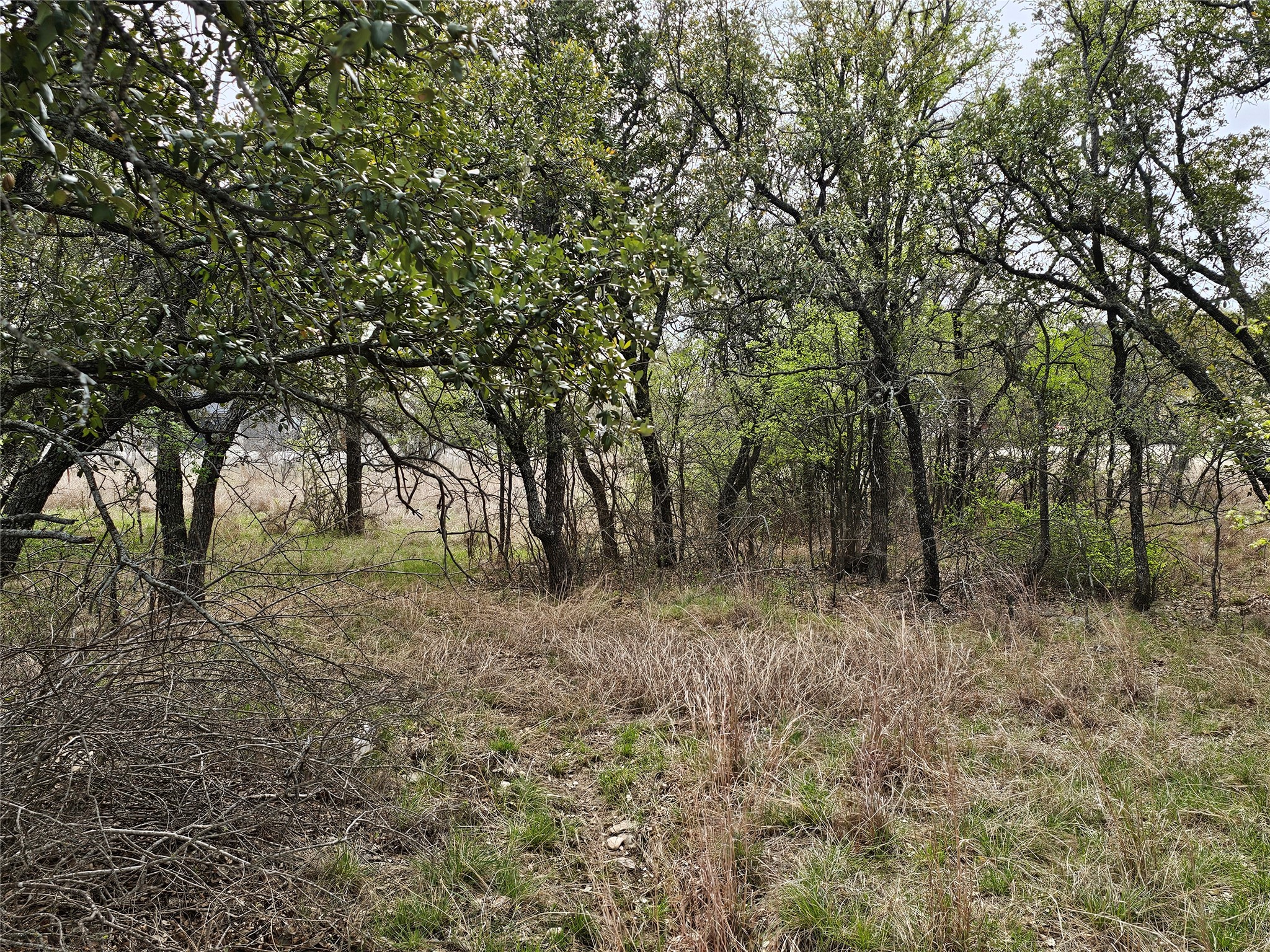 Y-3 Feather Bay Boulevard Brownwood TX 76801