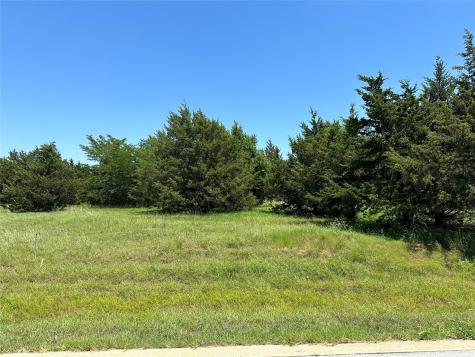 Tbd La Paloma Gordonville TX 76245