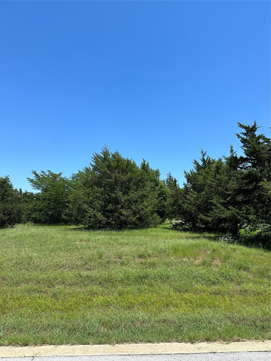 Tbd La Paloma Gordonville TX 76245