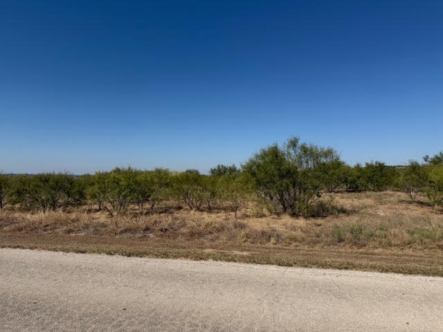 Lot 422 Fire Wheel Drive Possum Kingdom Lake TX 76449
