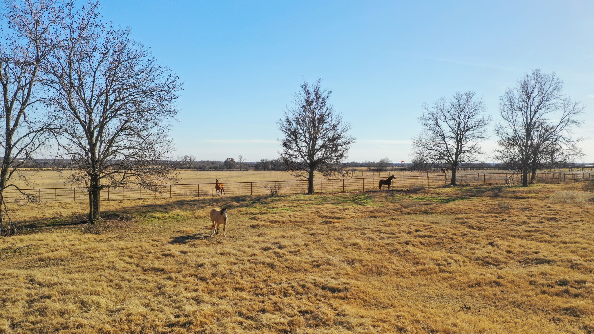 1154 Fm 205 Stephenville TX 76401