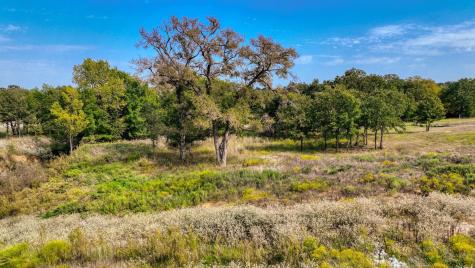 Lot # 82 Valley Oak Court Springtown TX 76082
