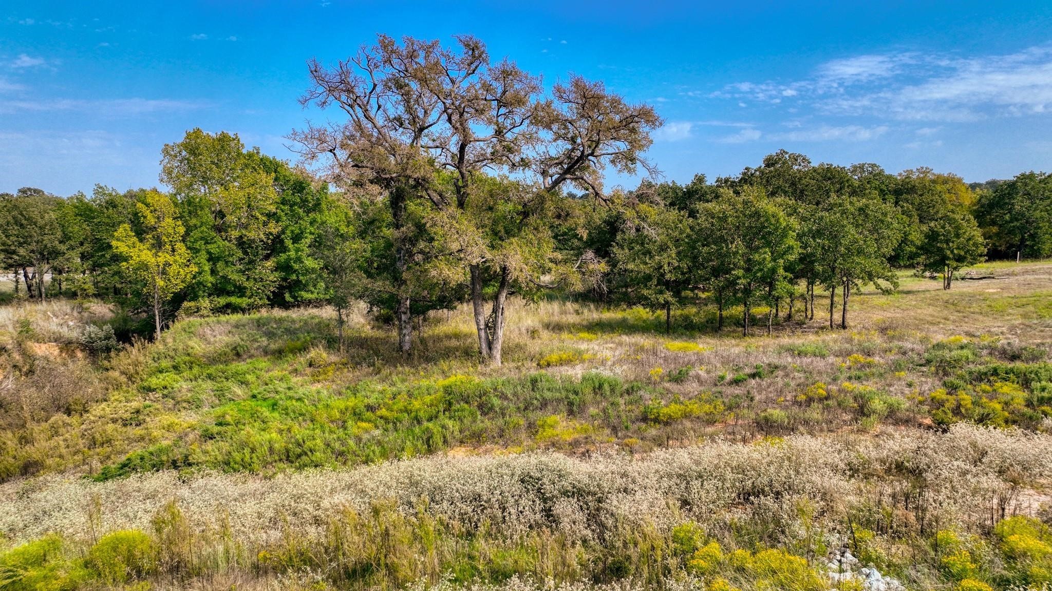 Lot # 82 Valley Oak Court Springtown TX 76082