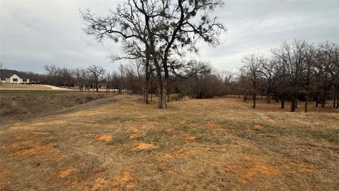 Lot # 82 Valley Oak Court Springtown TX 76082