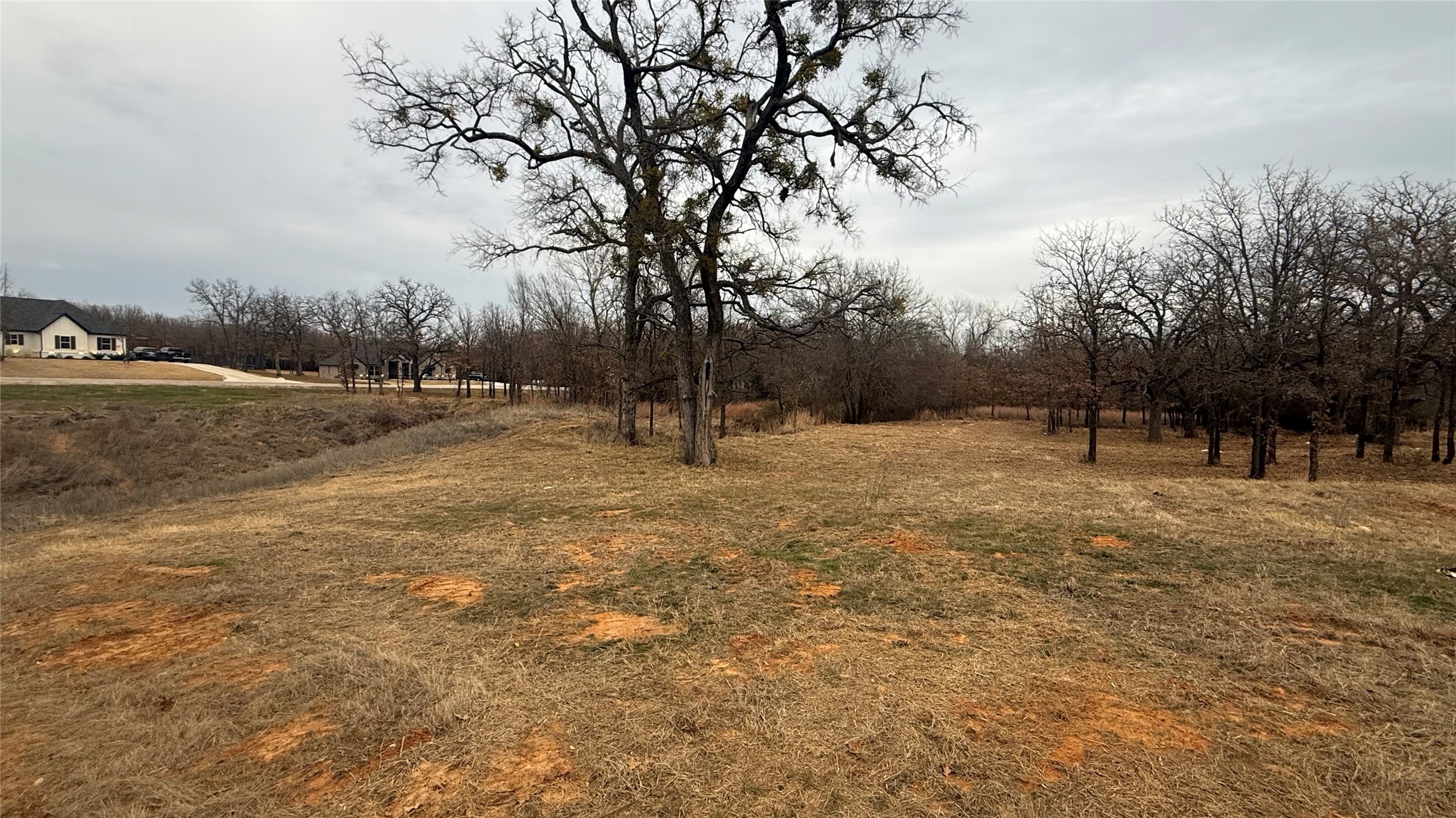 Lot # 82 Valley Oak Court Springtown TX 76082