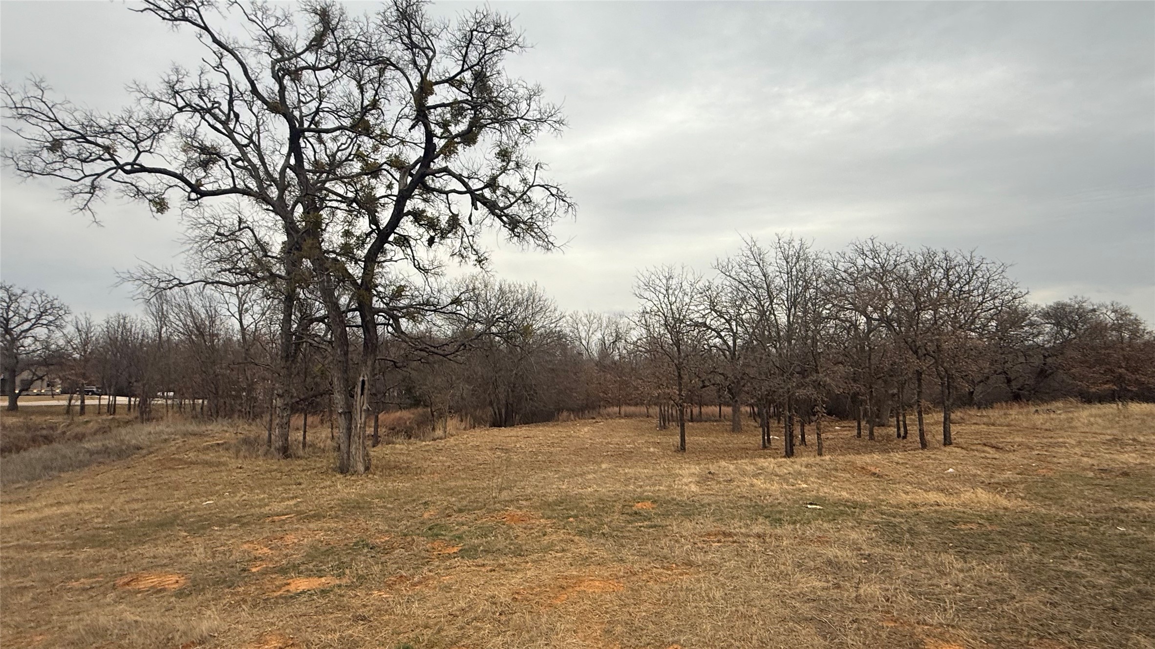 Lot # 82 Valley Oak Court Springtown TX 76082