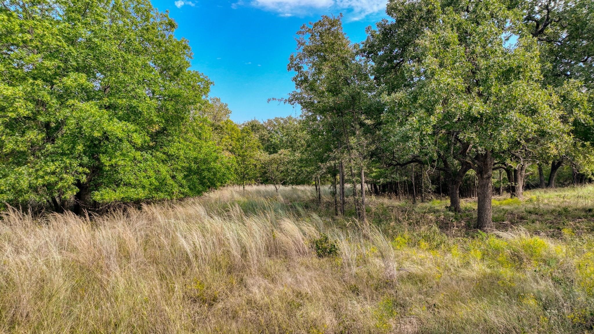 Lot # 82 Valley Oak Court Springtown TX 76082