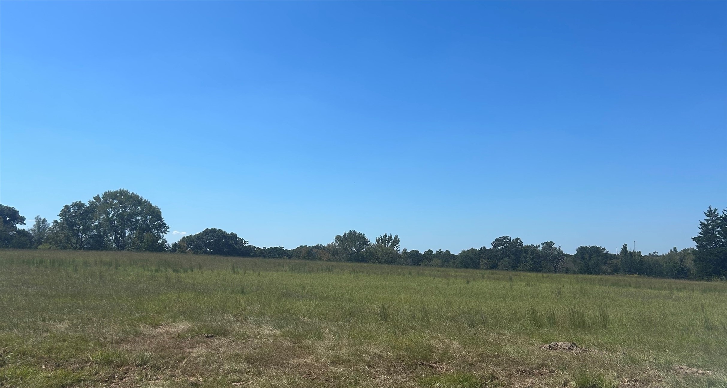 0000 Fm 607 S Murchison TX 75778