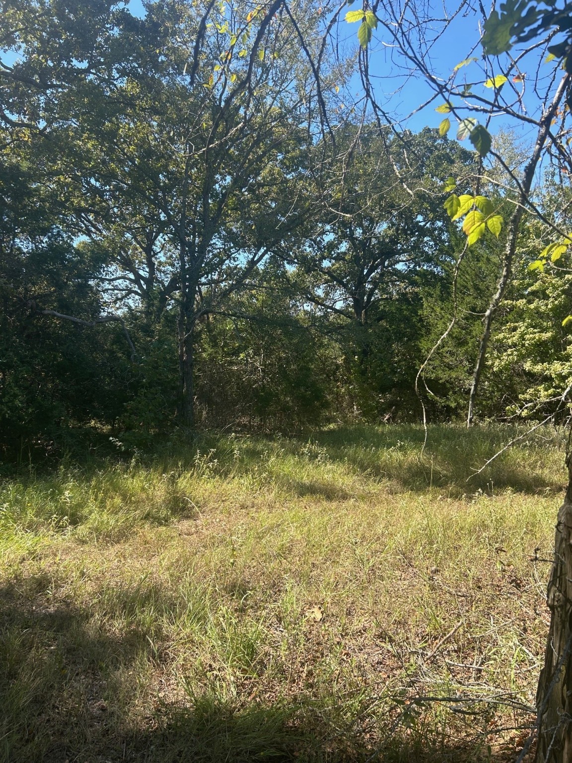 0000 Fm 607 S Murchison TX 75778