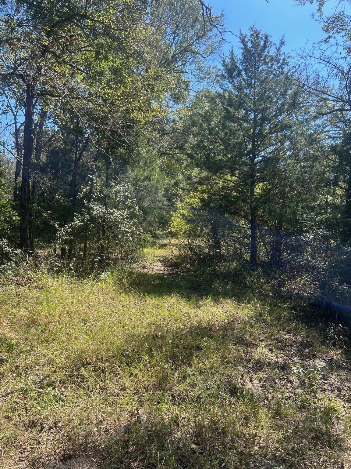 0000 Fm 607 S Murchison TX 75778