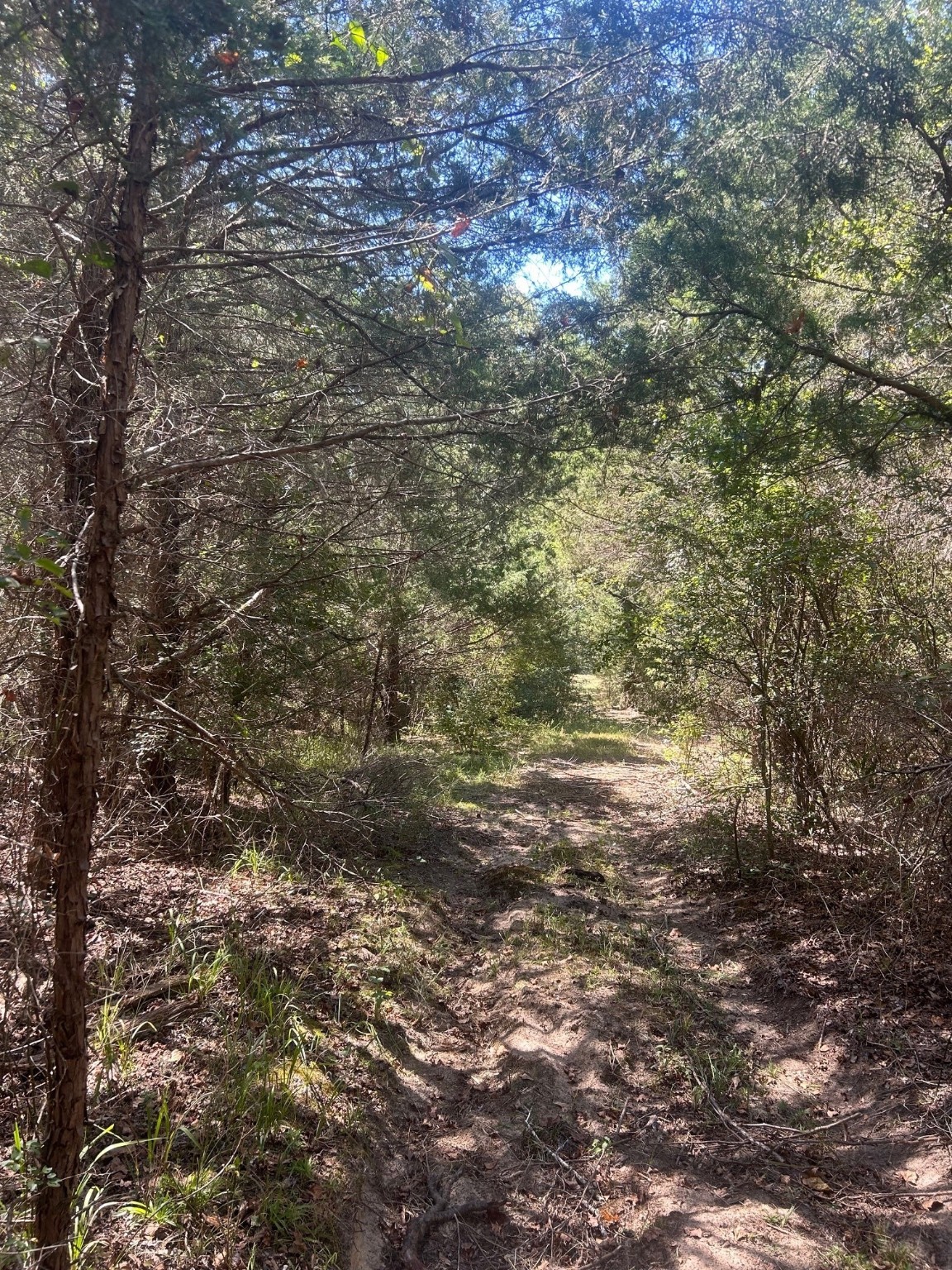 0000 Fm 607 S Murchison TX 75778