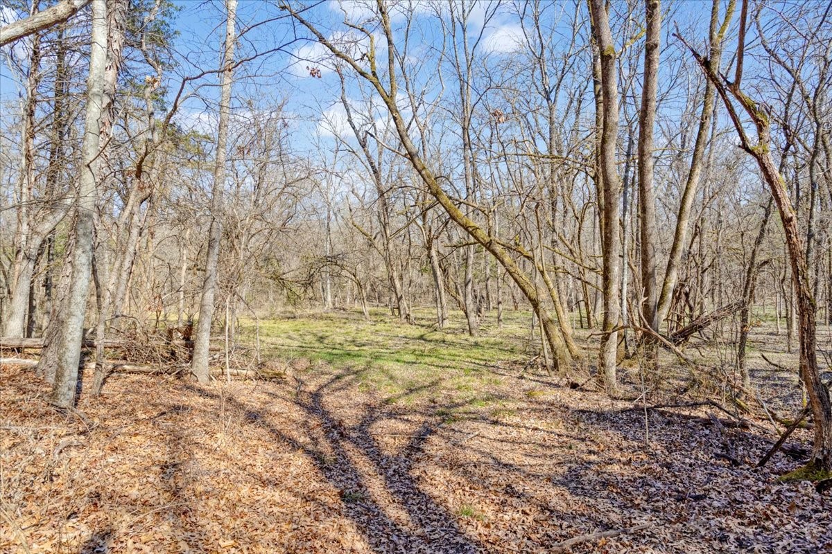 1966 County Road 2980 Windom TX 75492