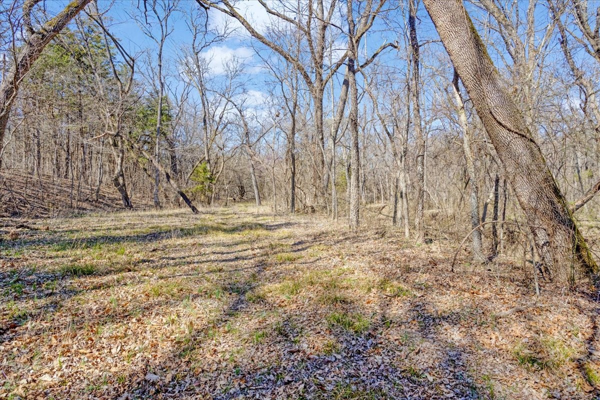 1966 County Road 2980 Windom TX 75492