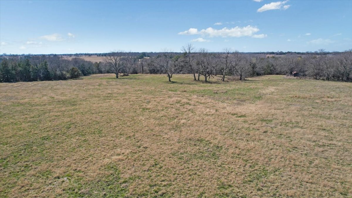 1966 County Road 2980 Windom TX 75492