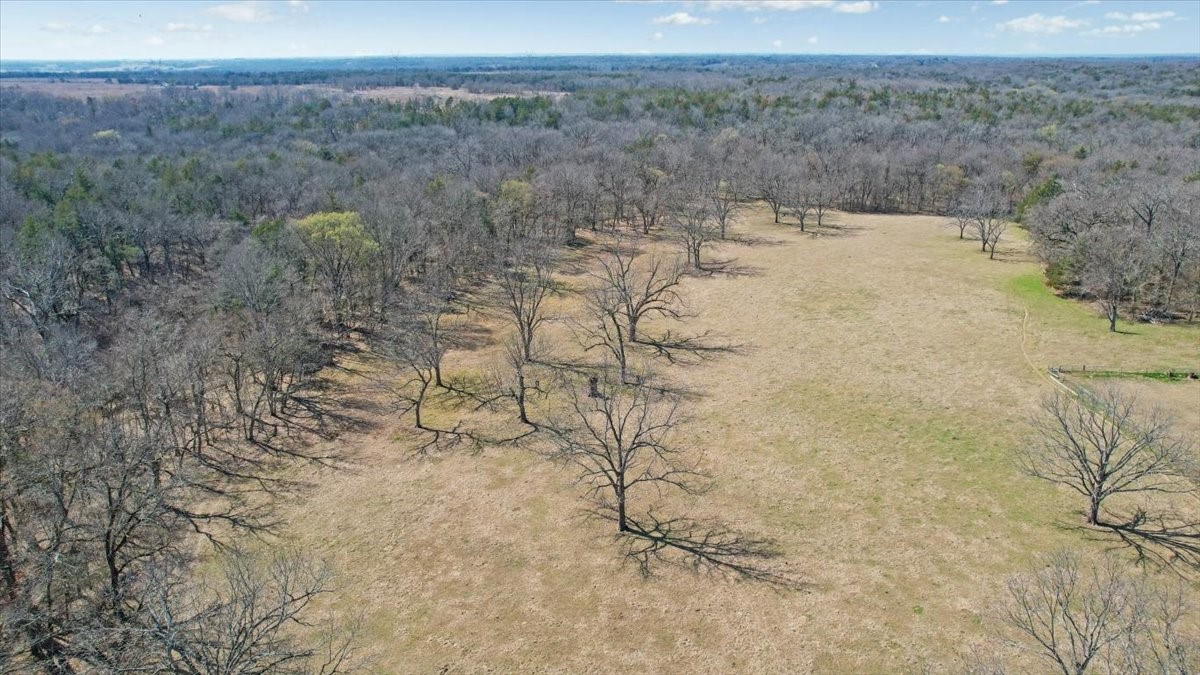 1966 County Road 2980 Windom TX 75492