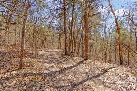 1966 County Road 2980 Windom TX 75492