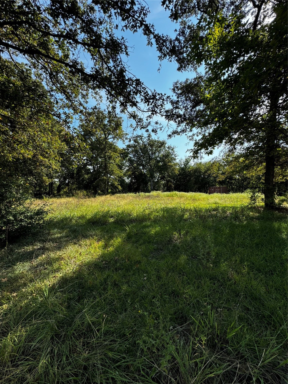 Tbd County Road 2829 Mabank TX 75156