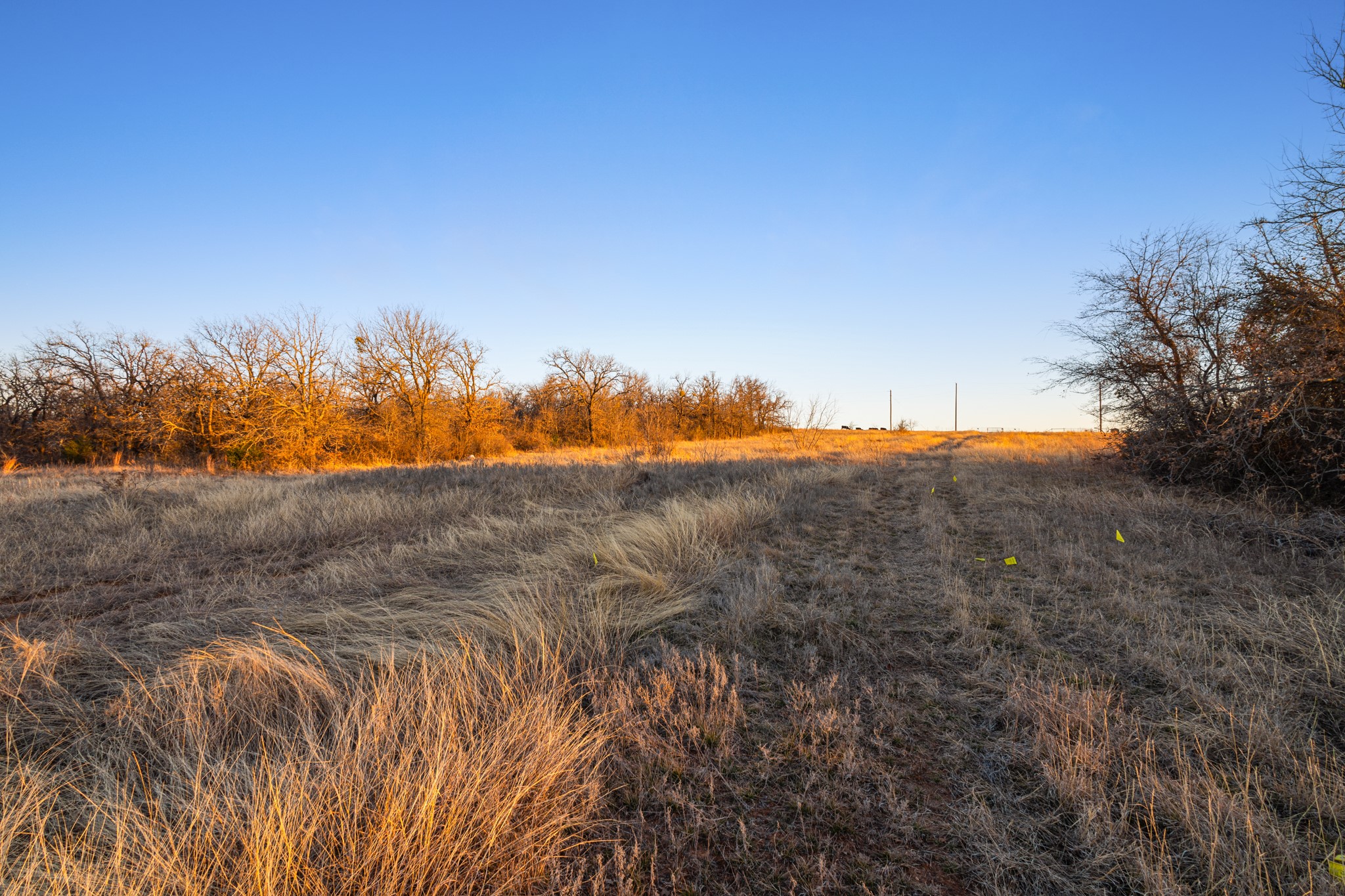 Tbd County Road 3519 Bridgeport TX 76246