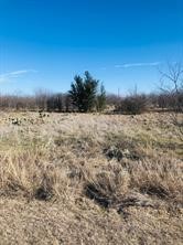 30 Neeleys Slough Drive Possum Kingdom Lake TX 76449