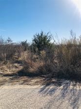 30 Neeleys Slough Drive Possum Kingdom Lake TX 76449