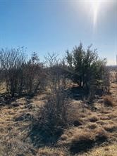 30 Neeleys Slough Drive Possum Kingdom Lake TX 76449
