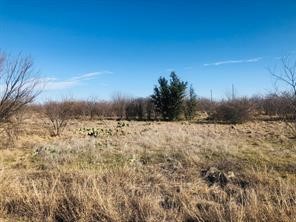 30 Neeleys Slough Drive Possum Kingdom Lake TX 76449