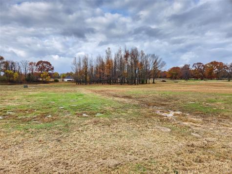 Lot 23 Cr 2230 Mineola TX 75773
