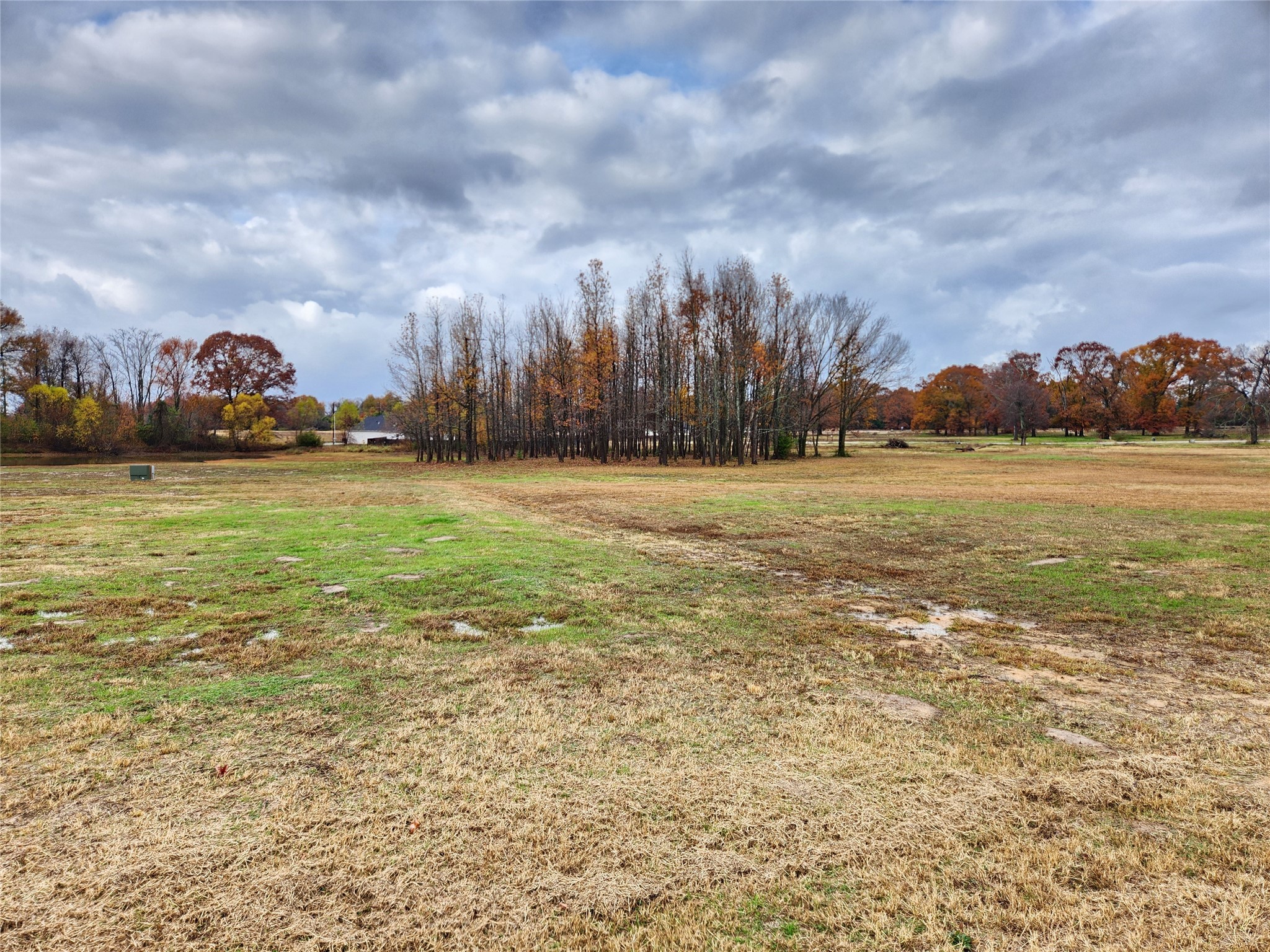 Lot 23 Cr 2230 Mineola TX 75773
