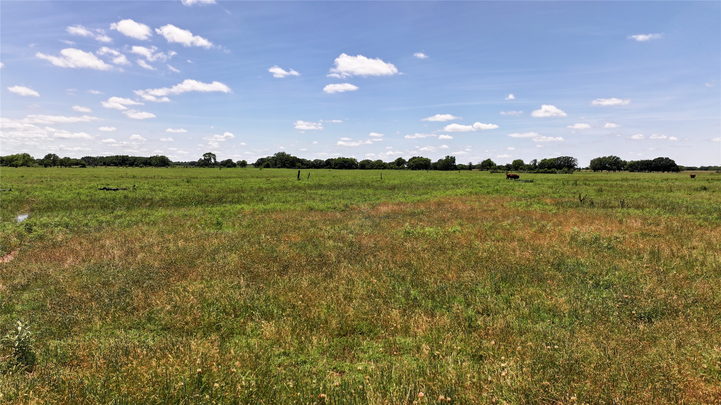 1409 Flagley Road Nocona TX 76255