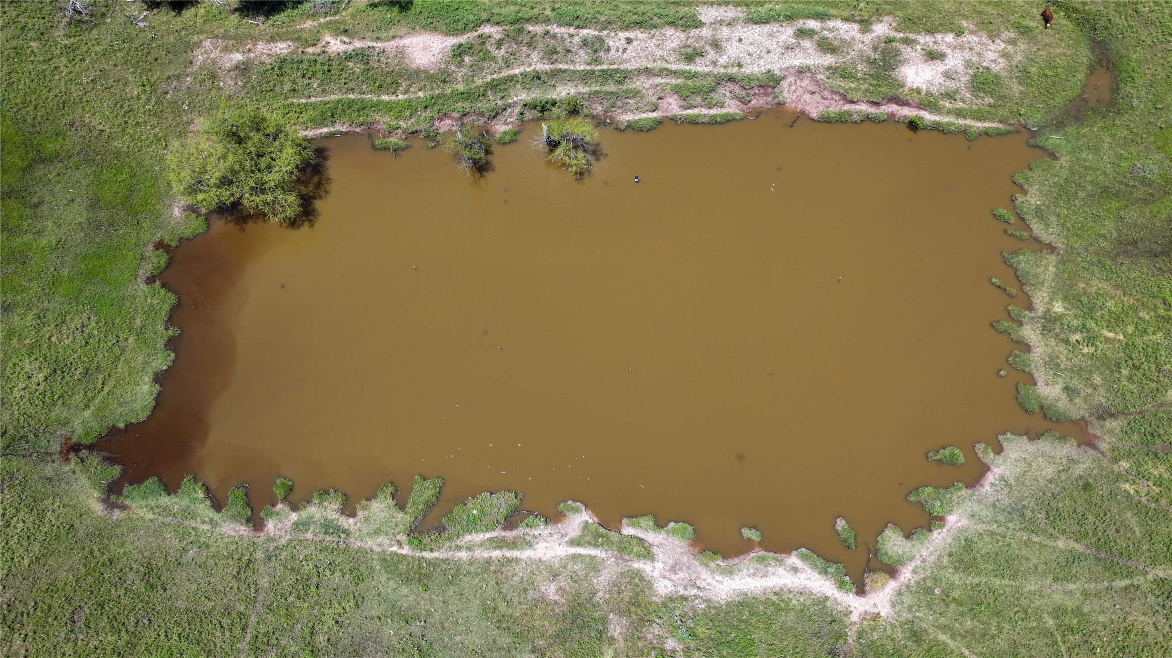 1409 Flagley Road Nocona TX 76255