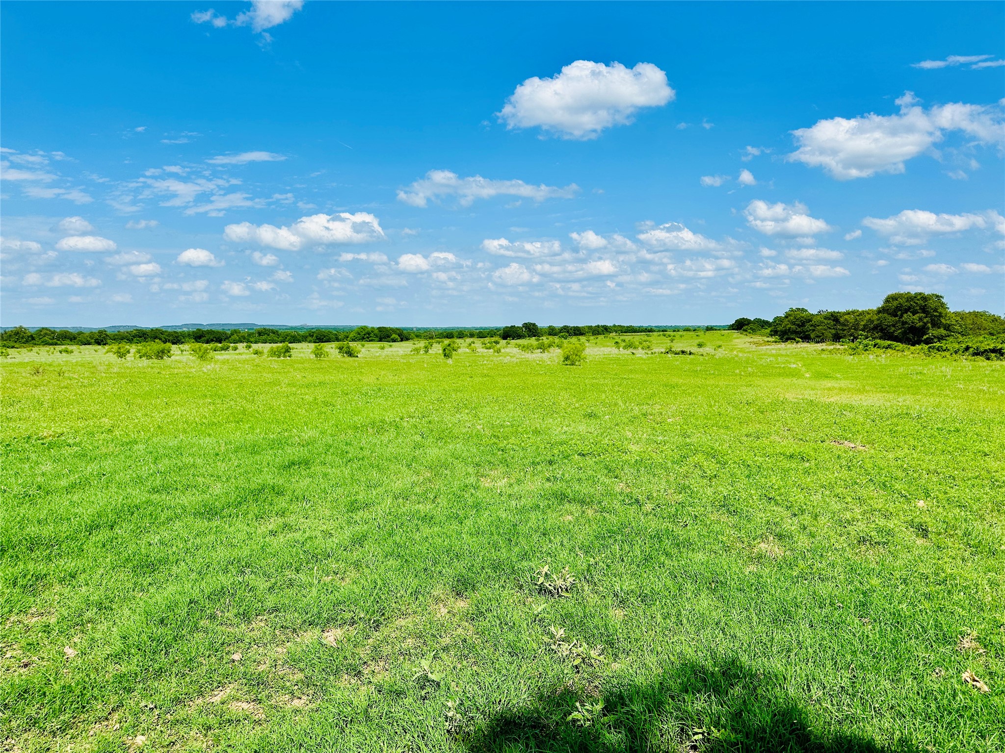 Tbd Cr 429 Cross Plains TX 76443