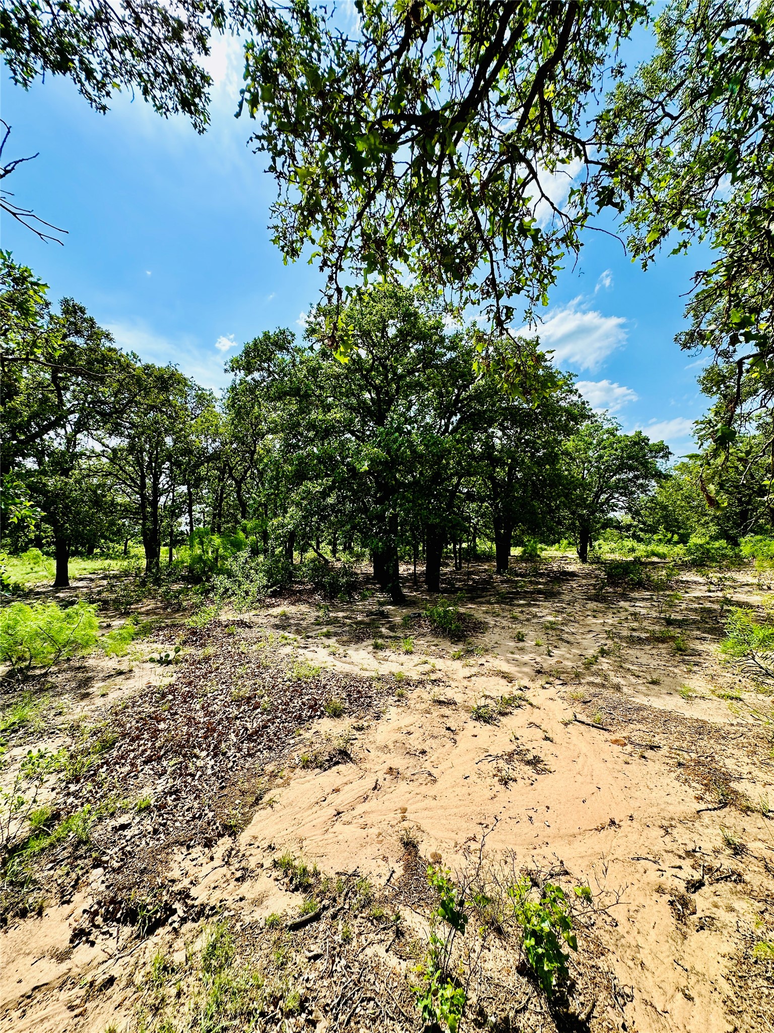 Tbd Cr 429 Cross Plains TX 76443