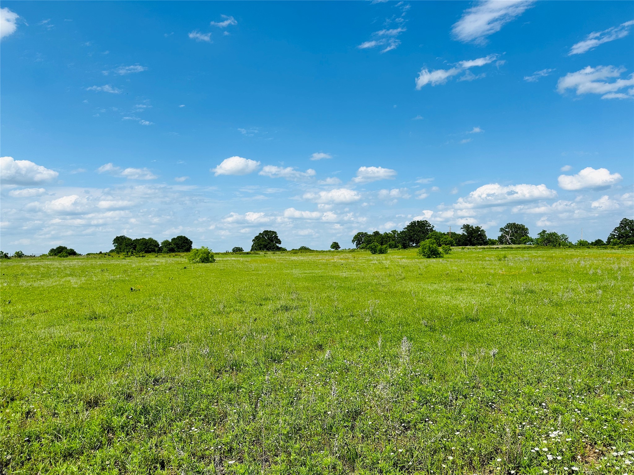 Tbd Cr 429 Cross Plains TX 76443